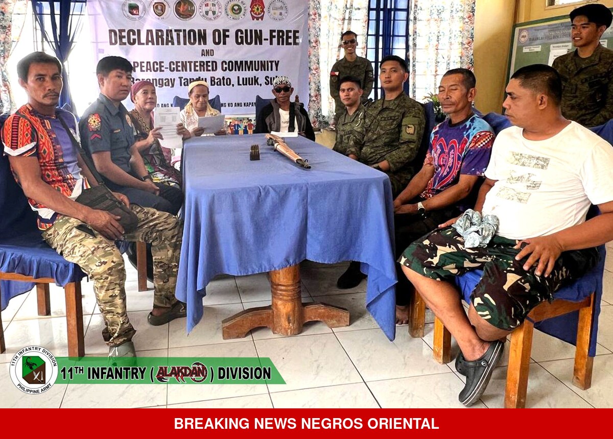 Army Secures Two M1 Rifles in Sulu Gun-Free Drive