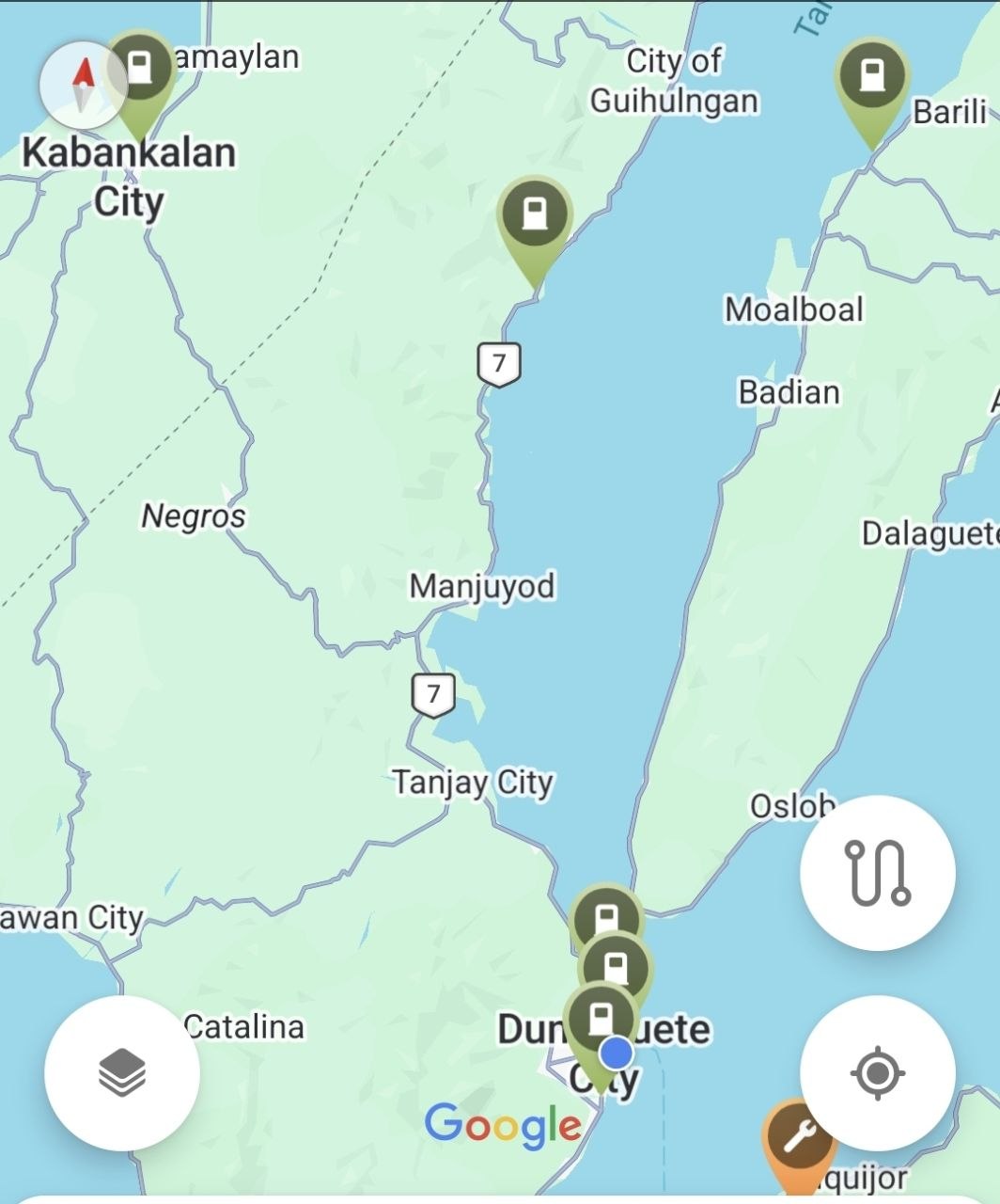 Negros Oriental Sets 10% EV Target, Double National Rate