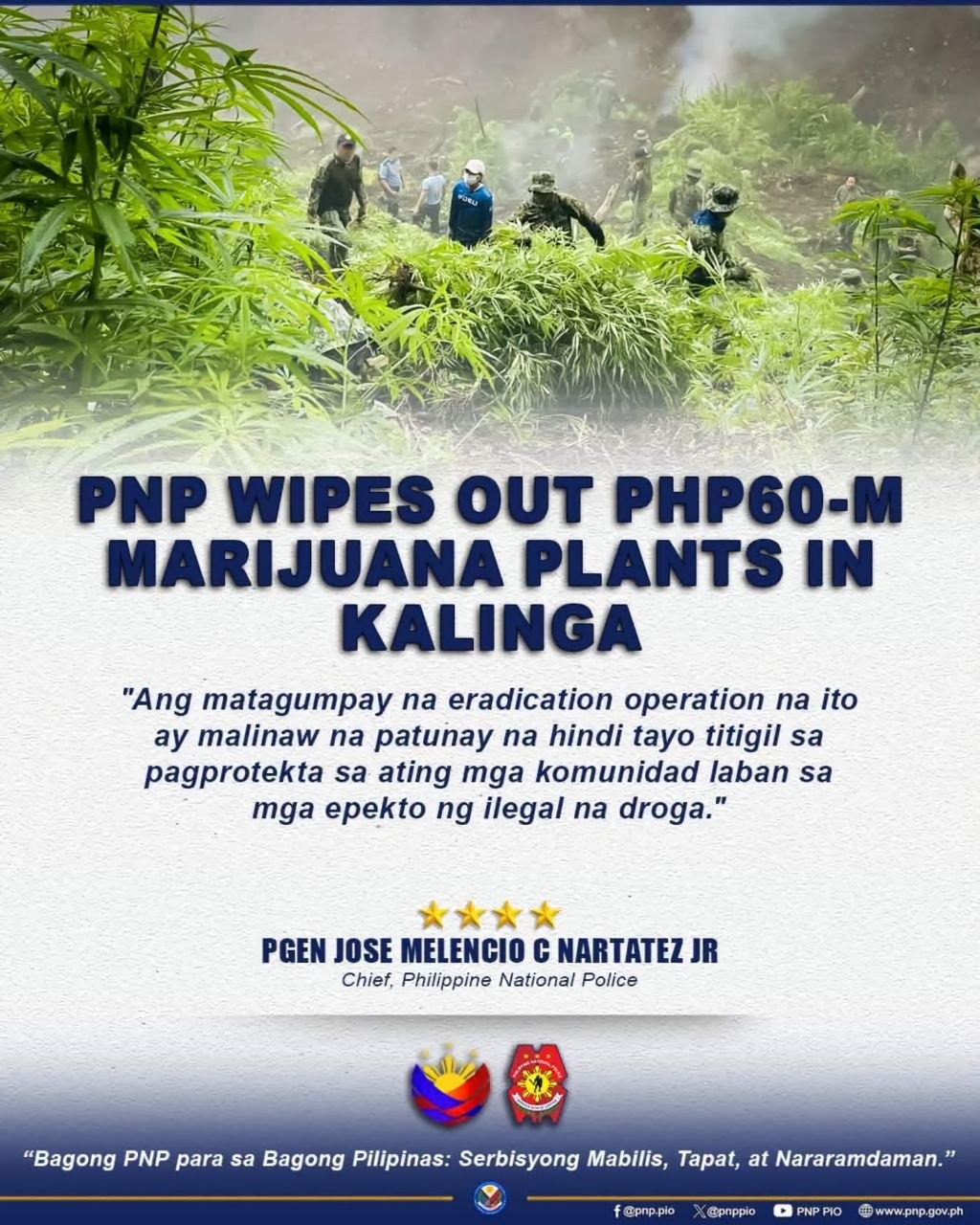 PNP-PDEA Raid Levels ₱60-M Marijuana Farm in Kalinga Mountains