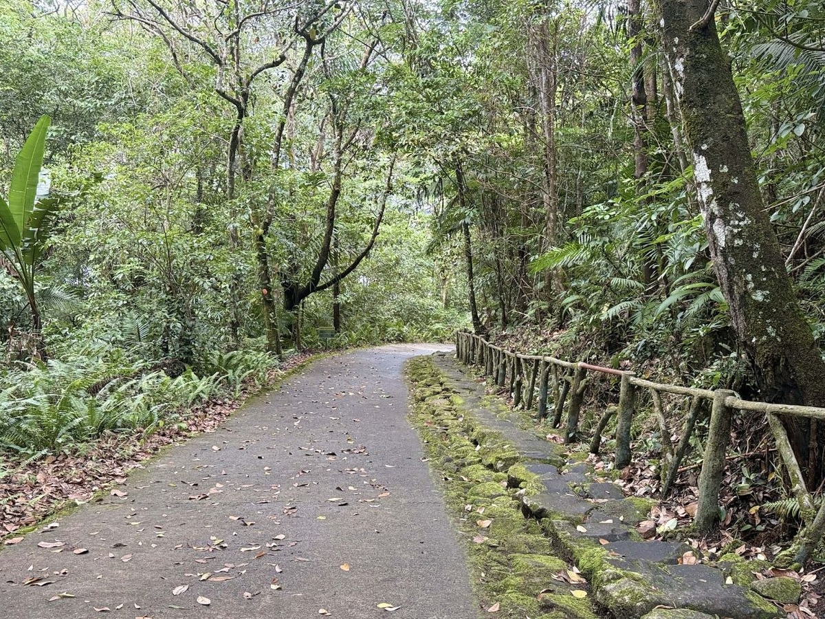 Dumaguete: Balinsasayao Twin Lakes Nature Guide