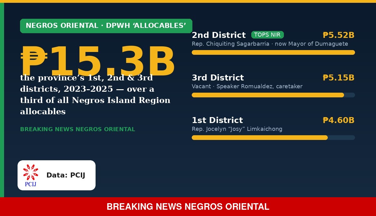 ‘Allocables’ explained: the DPWH district funds — and why Negros Oriental tops the region