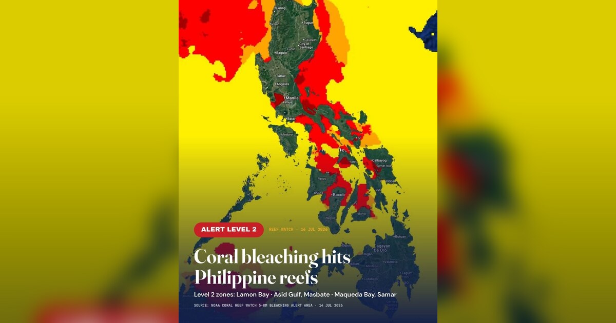 Eastern Philippine Reefs Face Highest Coral Bleaching Danger Levels
