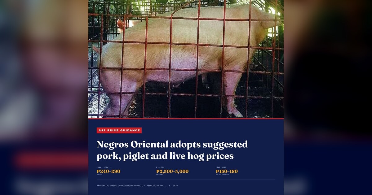 Negros Oriental Sets Pork Price Ranges Amid ASF Outbreak