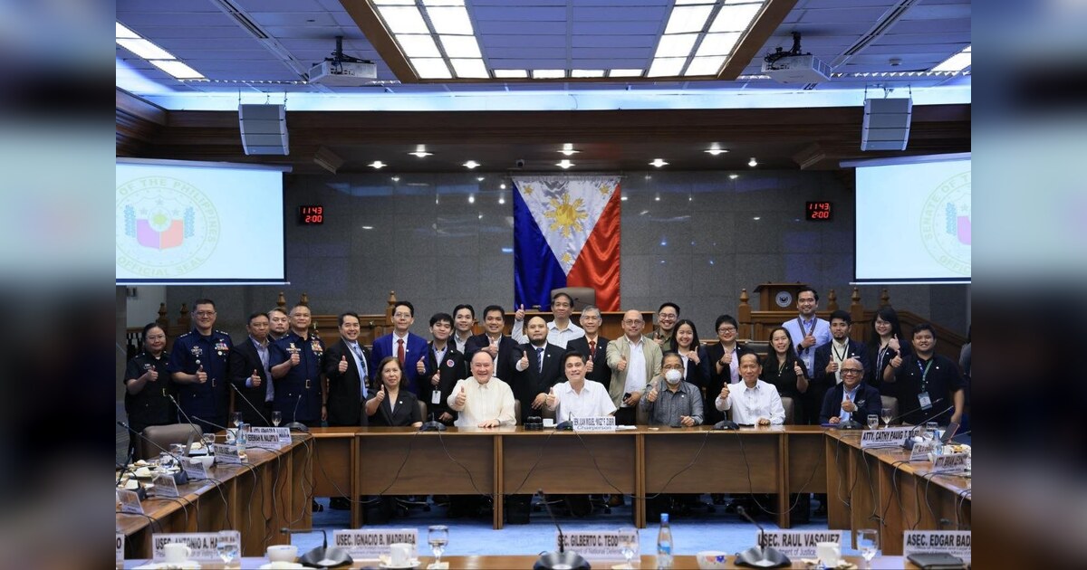 RP-France Visiting Forces Deal Clears Senate Panel — Teodoro