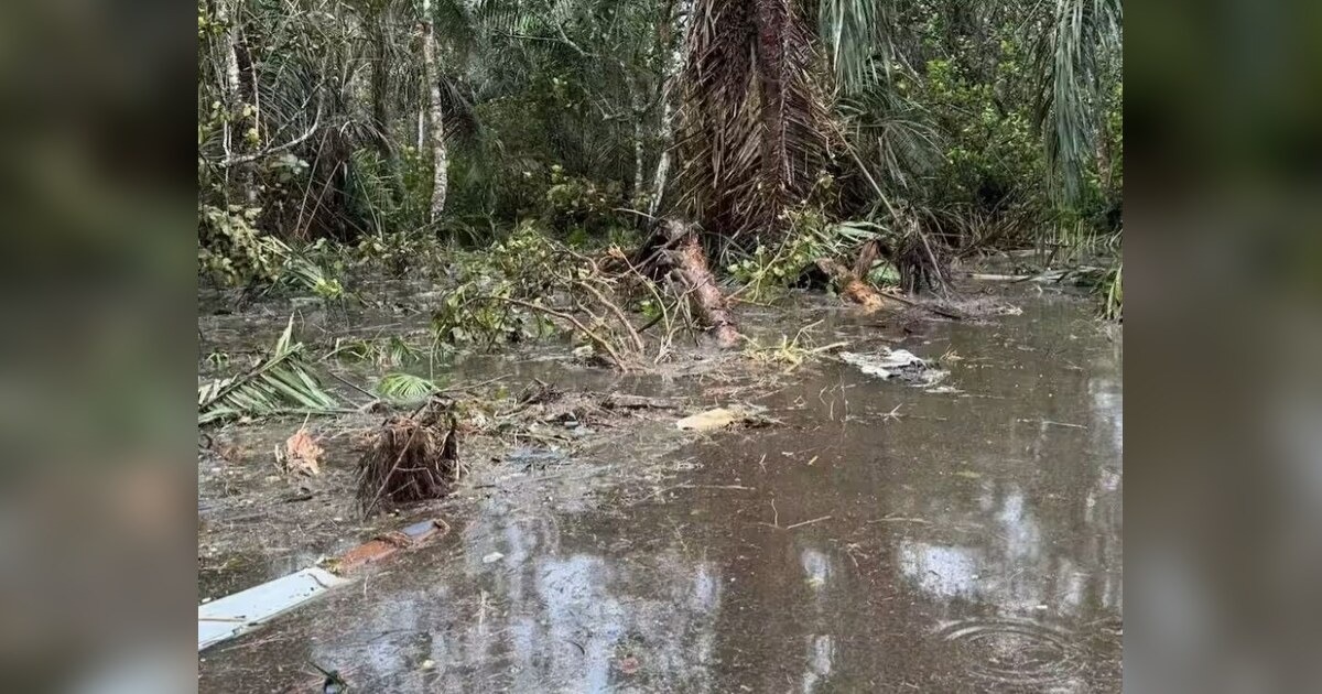 Nigerian Air Force Plane Crash Kills 32, Triggers National Mourning