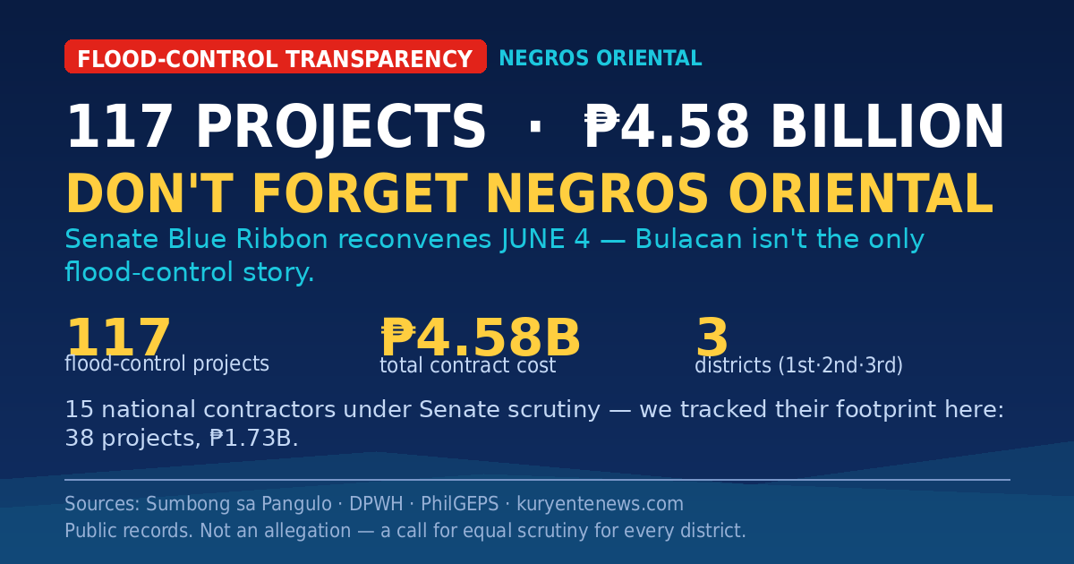 Flood-control contractors in Negros Oriental — 117 projects, P4.58 billion