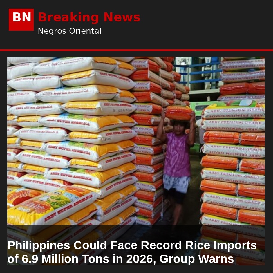 Philippines Could Face Record Rice Imports of 6.9 Million Tons in 2026, Group Warns