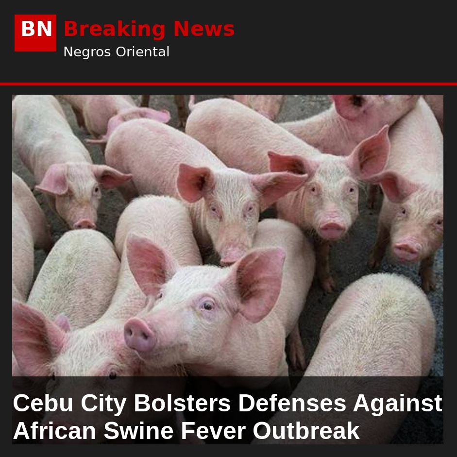 Image related to: Cebu City Bolsters Defenses Against African Swine Fever Outbreak