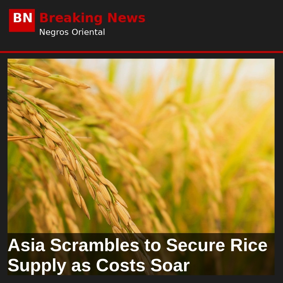 Asia Scrambles to Secure Rice Supply as Costs Soar