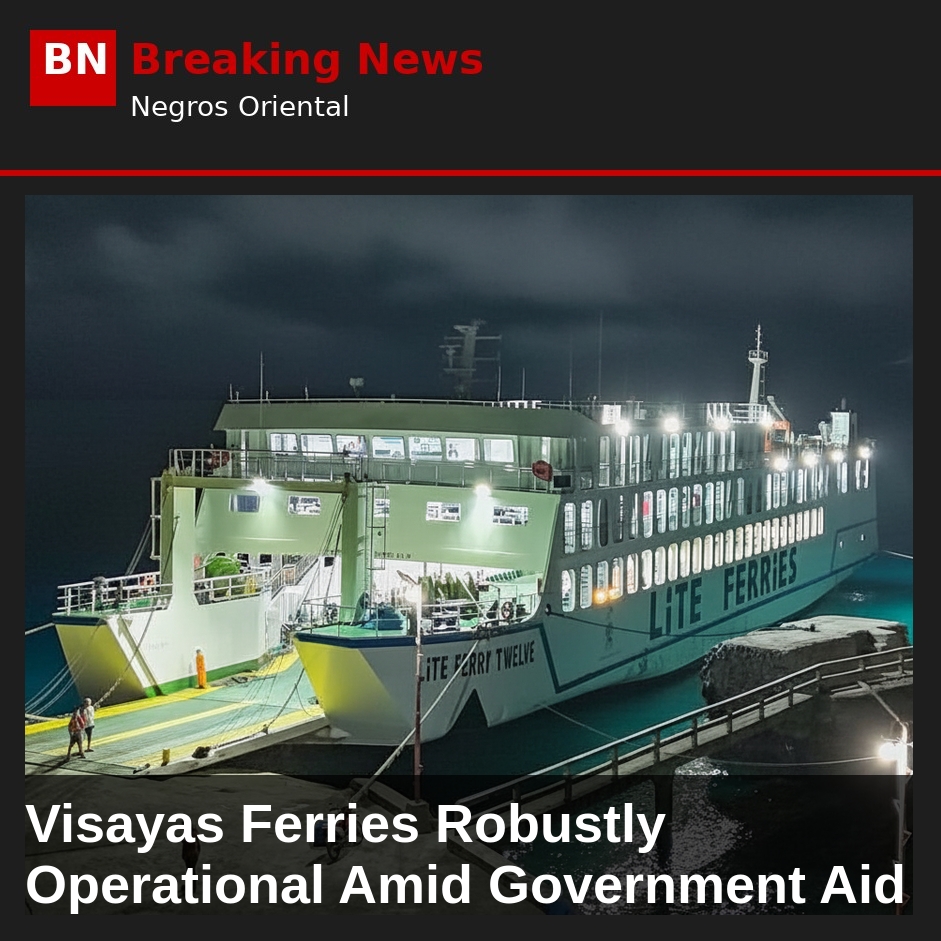 Image related to: Visayas Ferries Robustly Operational Amid Government Aid