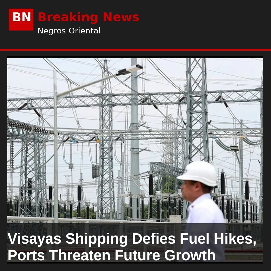 Visayas Shipping Defies Fuel Hikes, Ports Threaten Future Growth
