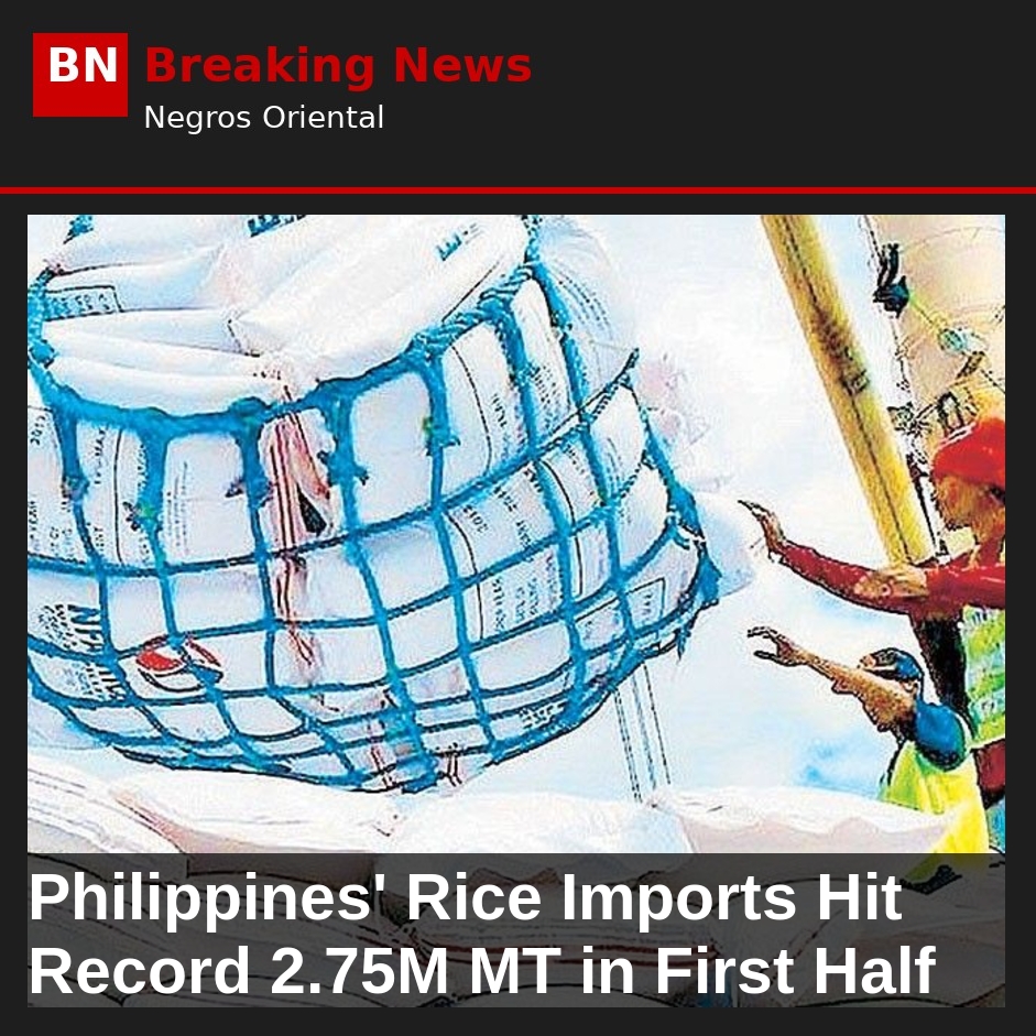 Philippines' Rice Imports Hit Record 2.75M MT in First Half