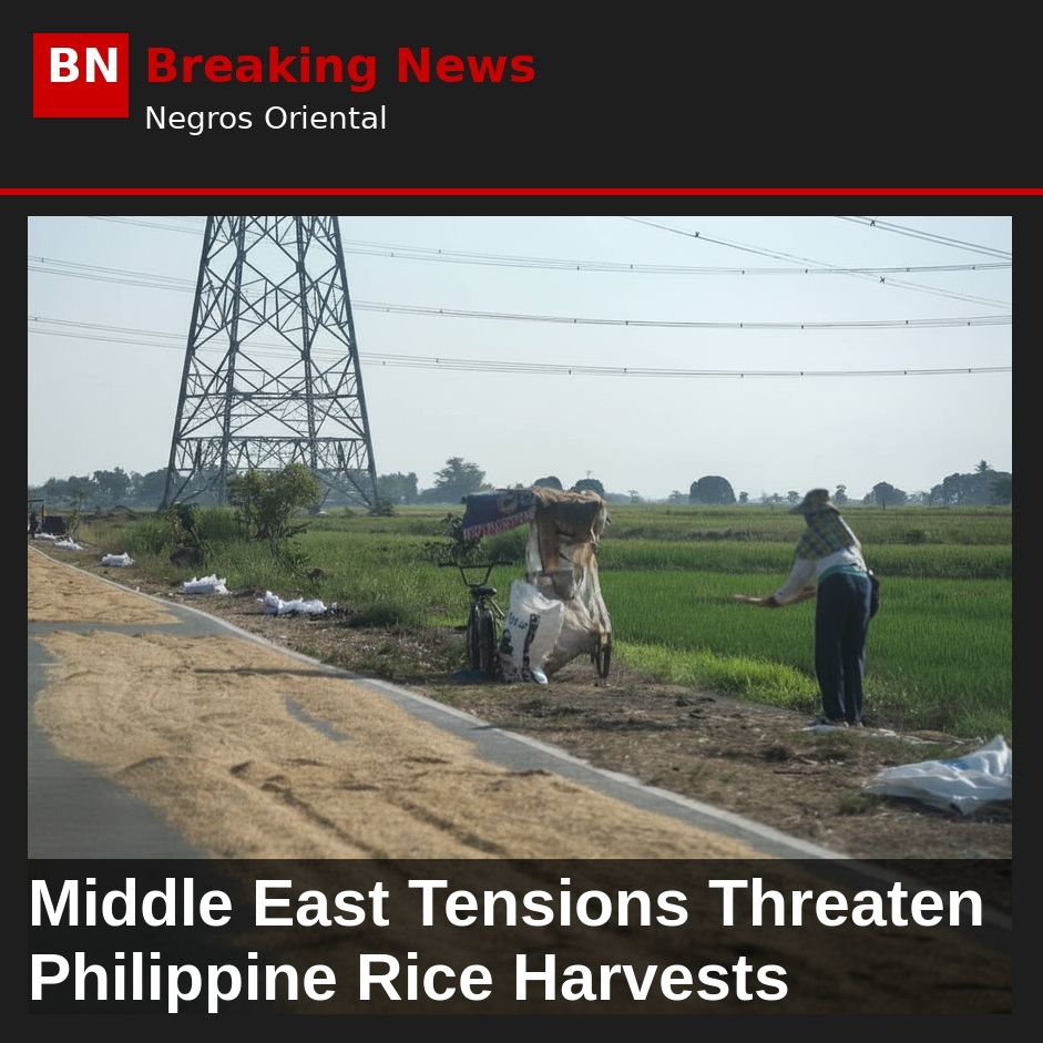 Image related to: Middle East Tensions Threaten Philippine Rice Harvests