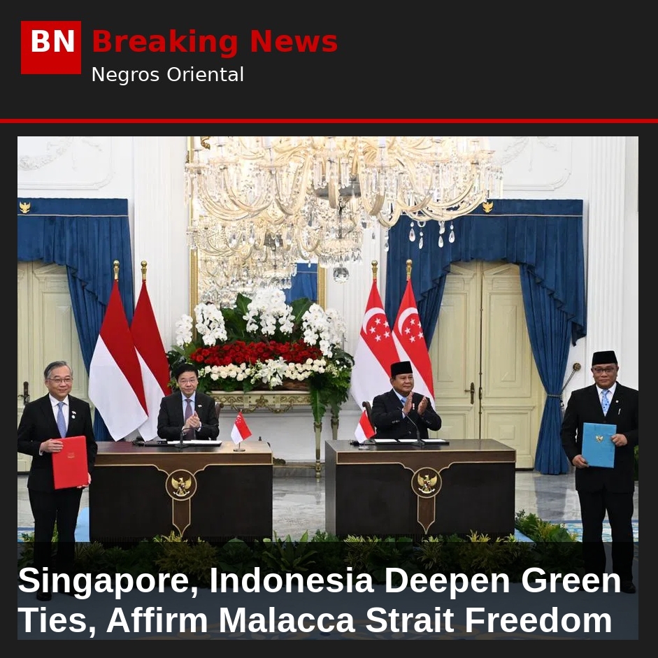 Image related to: Singapore, Indonesia Deepen Green Ties, Affirm Malacca Strait Freedom