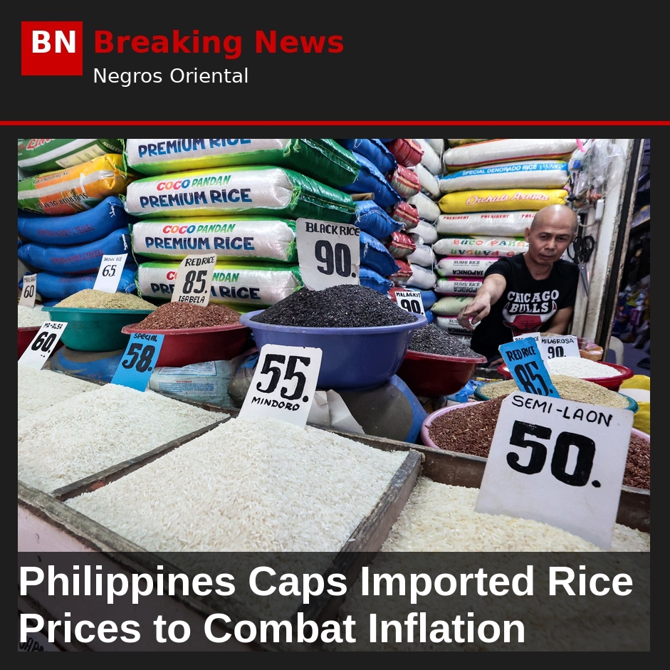 Philippines Caps Imported Rice Prices to Combat Inflation