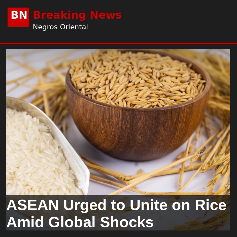 Image related to: ASEAN Urged to Unite on Rice Amid Global Shocks