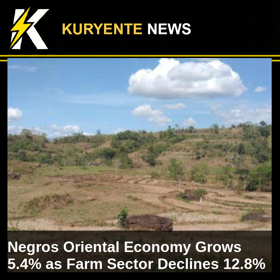 Negros Oriental Economy Grows 5.4% as Farm Sector Declines 12.8%