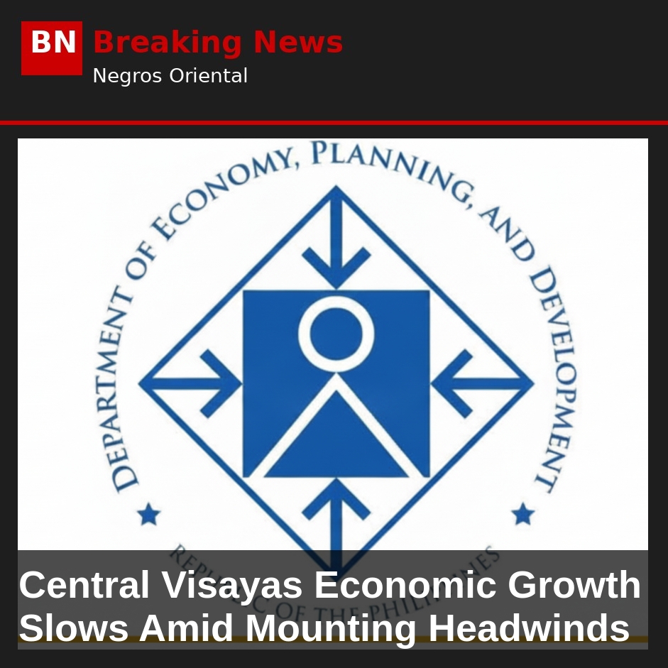 Image related to: Central Visayas Economic Growth Slows Amid Mounting Headwinds