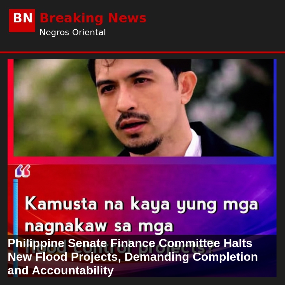 Philippine Senate Finance Committee Halts New Flood Projects, Demanding Completion and Accountability