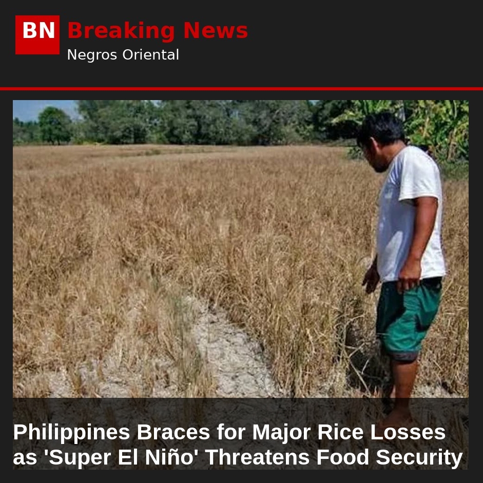 Image related to: Philippines Braces for Major Rice Losses as 'Super El Niño' Threatens Food Security